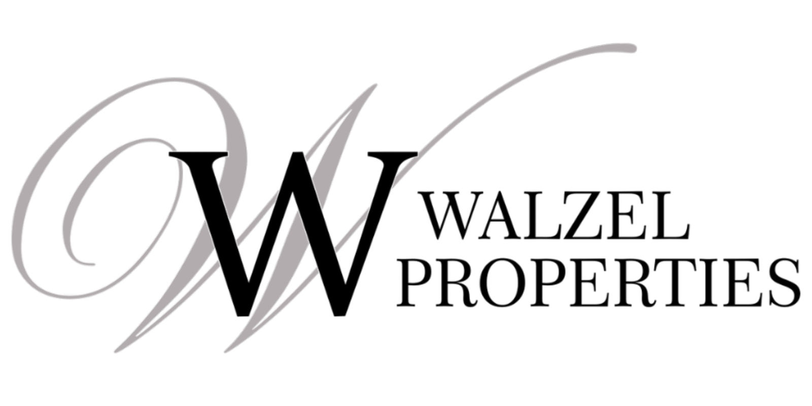 transparent logo